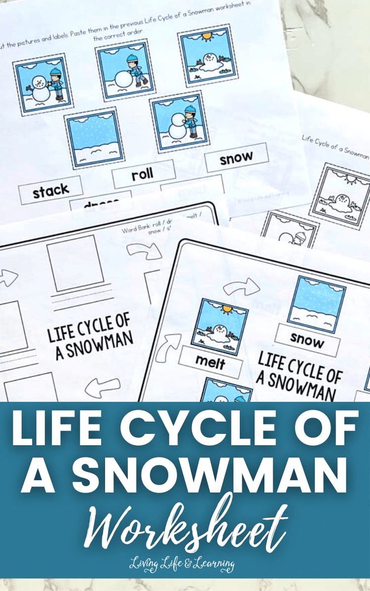 the life cycle of a snowman worksheet is shown with text overlay