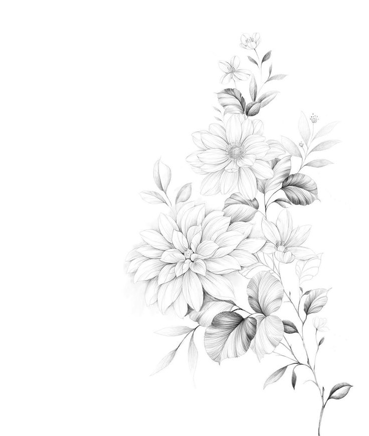 a black and white drawing of flowers