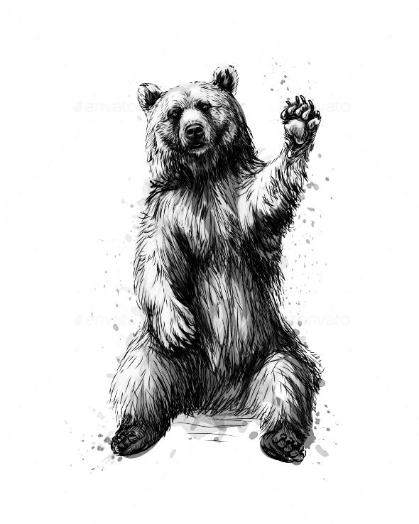 a black and white drawing of a bear sitting on its hind legs with his paw up