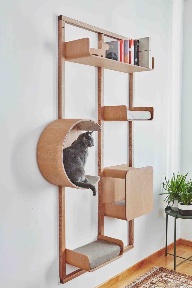 a cat is sitting in the corner of a book shelf