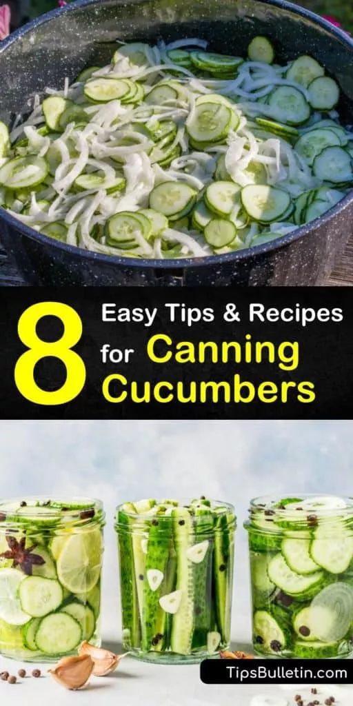 pickled cucumbers in jars with the title 8 easy tips and recipes for canning cucumbers