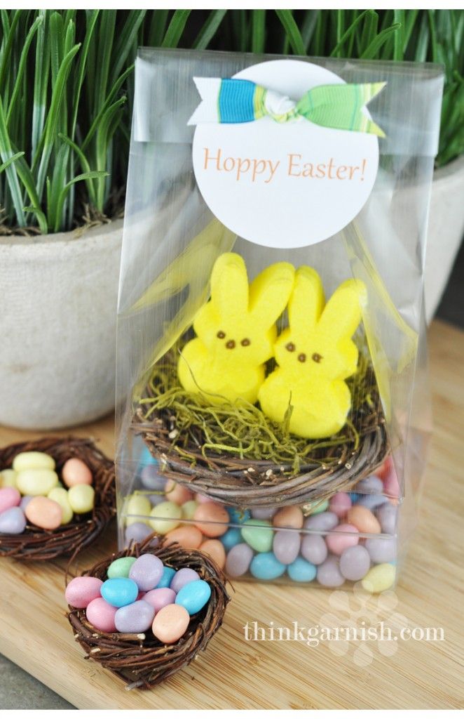 two peep - eared eggs in a nest on a table