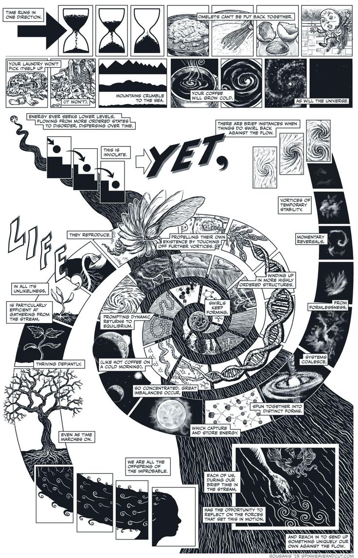 a poster with many different things in it, including an image of a tree and the words yes