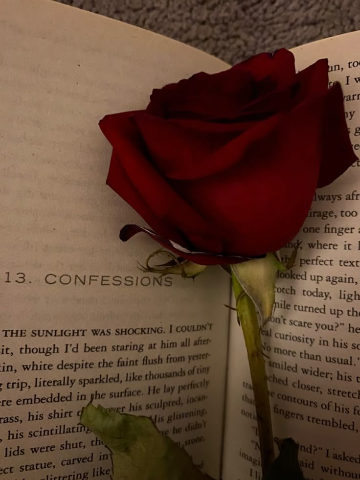 a single red rose sitting on top of an open book with the words 13 confessions