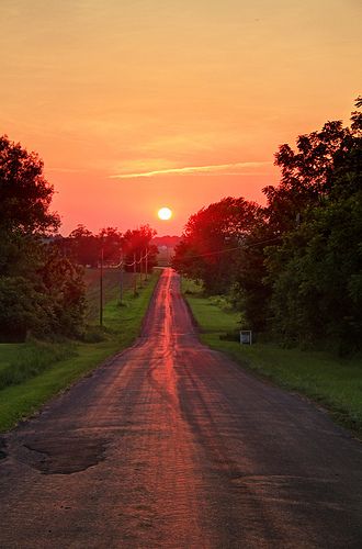 the sun is setting on an empty road with trees lining both sides and grass in the foreground