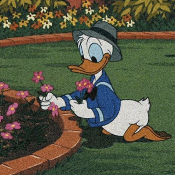 donald duck in the garden with flowers