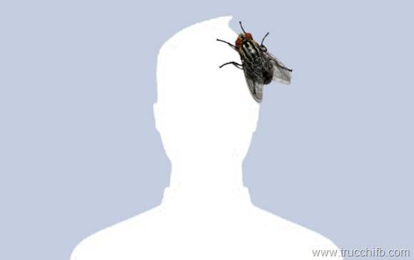 a fly sitting on top of a man's head