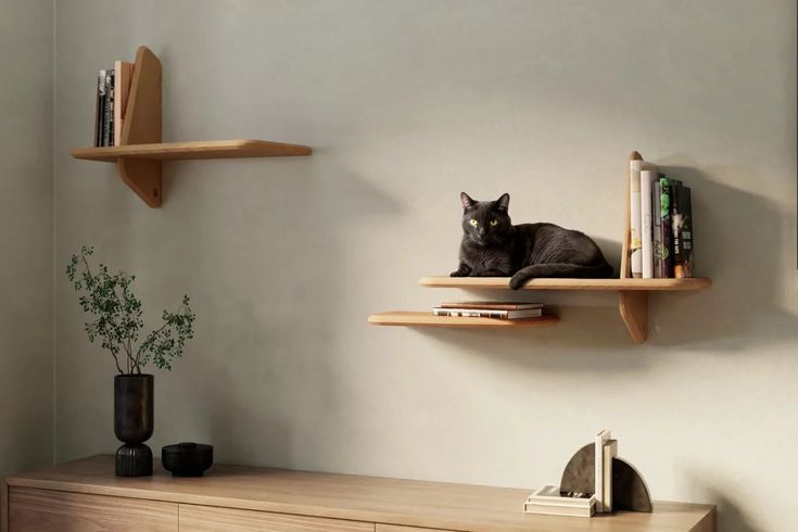 a black cat sitting on top of a wooden shelf