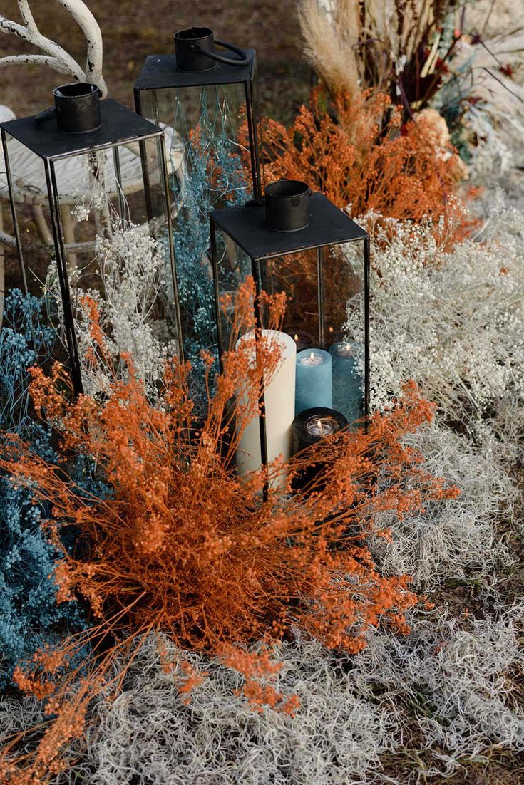 two black lanterns sitting next to each other on top of a grass covered field with orange and white flowers