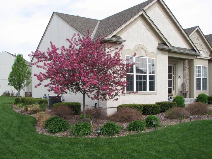 a home with landscaping and trees in the front yard