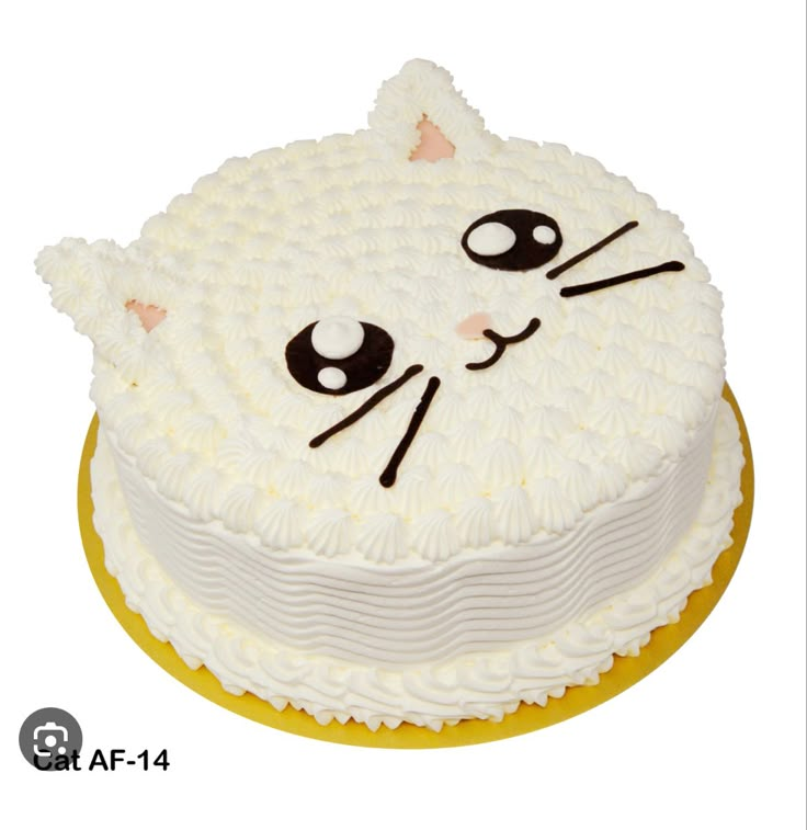 a white cat cake with black eyes on it