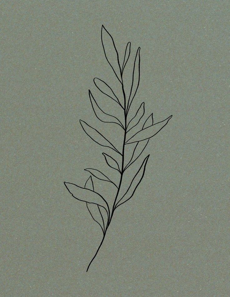 a black and white photo of a single leaf on a gray background with space for text