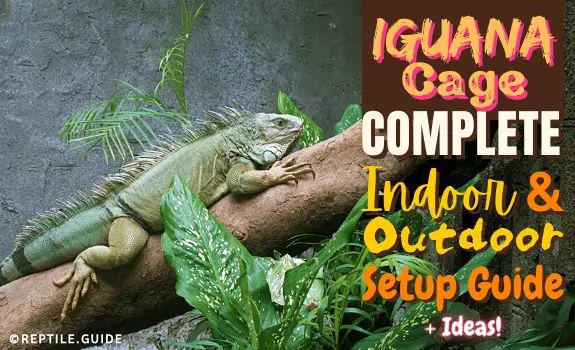 the iguana cage complete includes an indoor and outdoor setup guide to help you learn how to use it