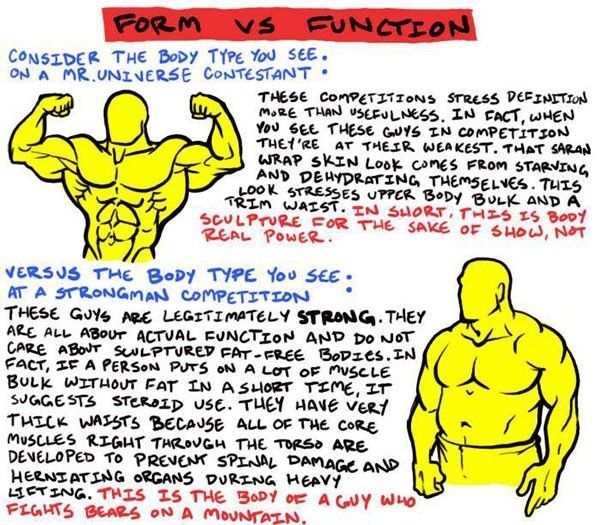 an image of the muscles and how they are used to build muscles for men