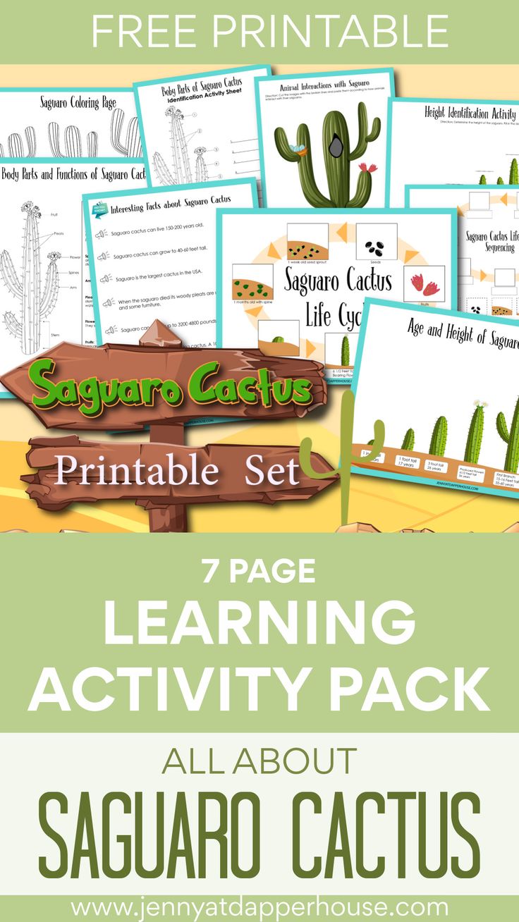 the saguaro cactus printable set includes 7 pages and an activity pack