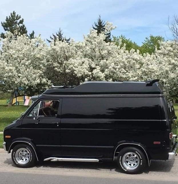 a black van is parked on the side of the road near some trees with white flowers