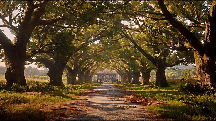 a dirt road surrounded by trees and grass