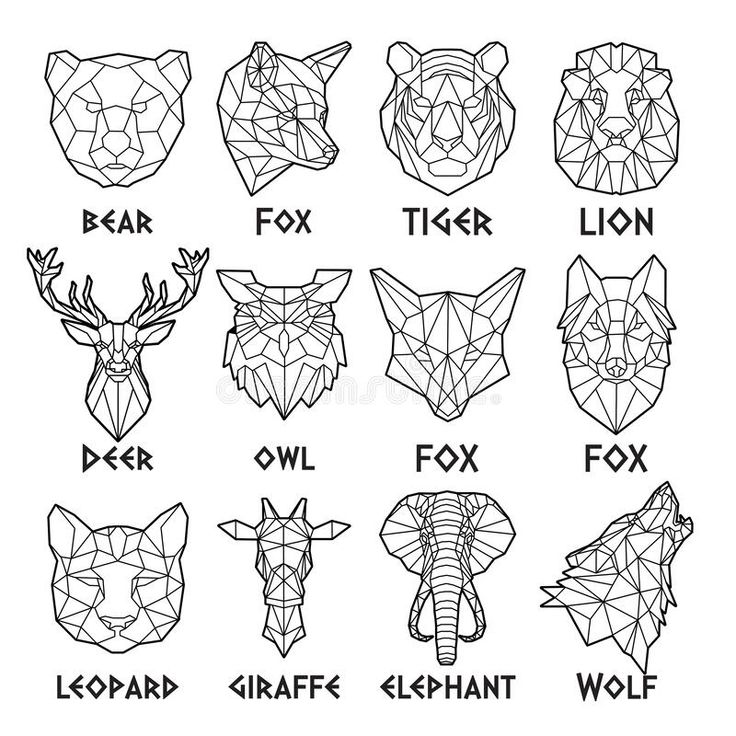 geometric polygonal animals and their names