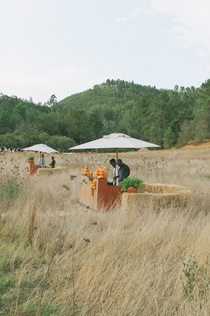 people are standing in the tall grass near some tables and chairs with umbrellas on them