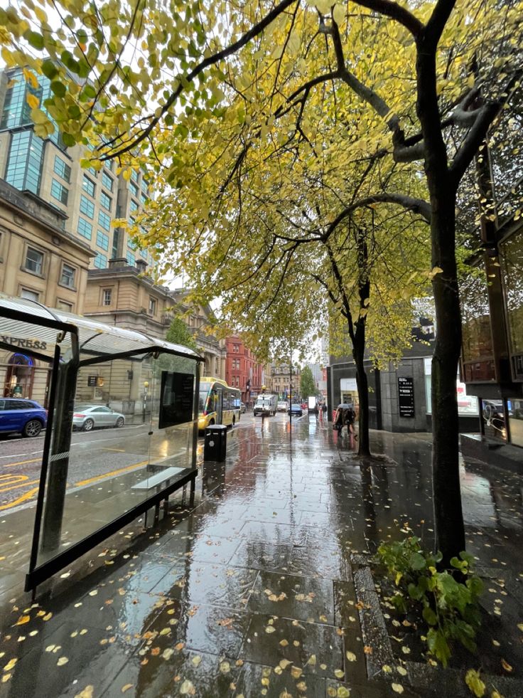 the city street is wet and has fallen leaves