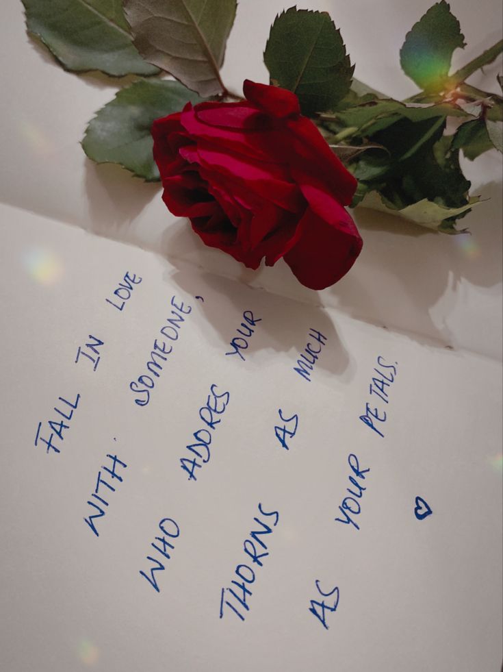 a red rose sitting on top of a piece of paper