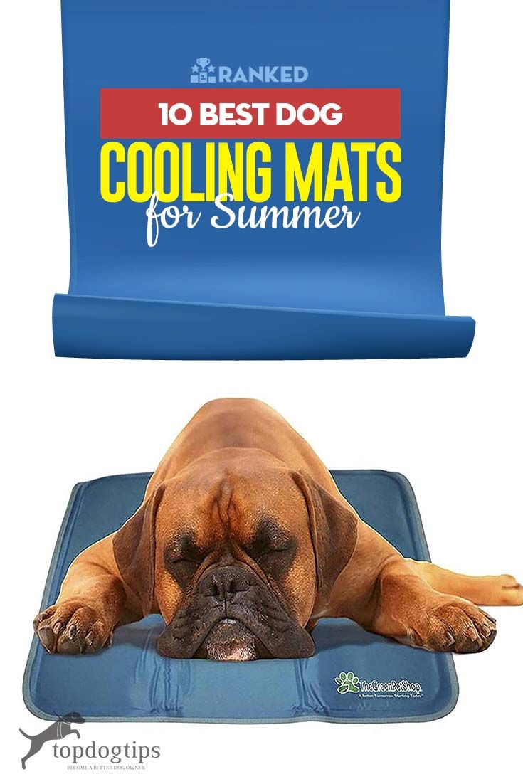 a brown dog laying on top of a blue mat with the title 10 best dog cooling mats for summer