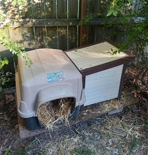 a dog house that has hay in it