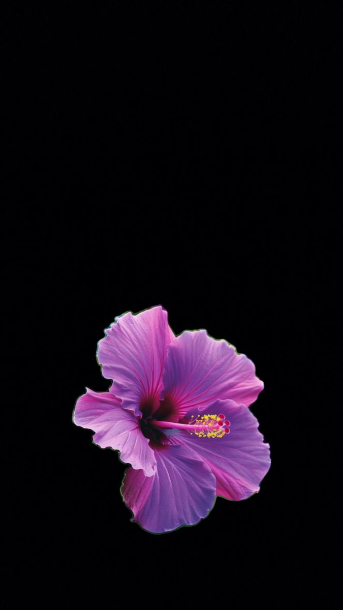 a purple flower is shown in the dark