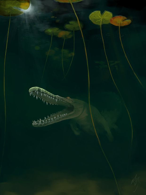 an alligator is swimming in the water with lily pads