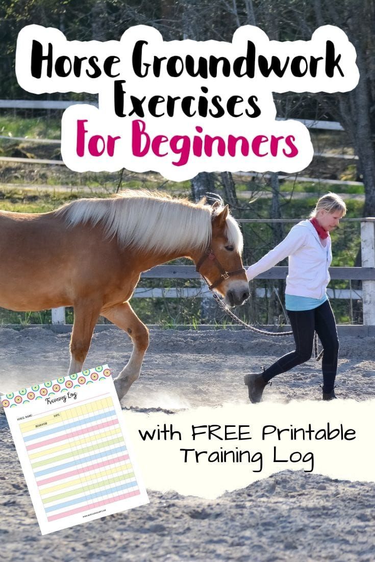 a woman leading a horse with the words, horse groundwork exercises for beginners