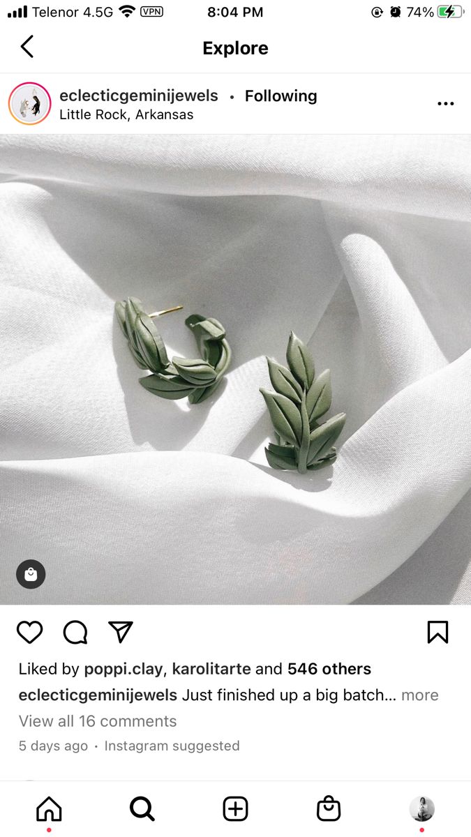 two small green leaves on top of a white sheet with the caption below it