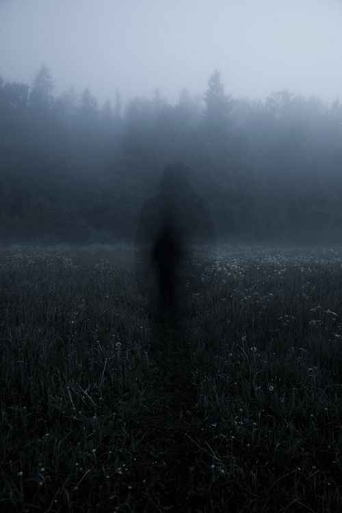 a person standing in the middle of a field on a foggy day