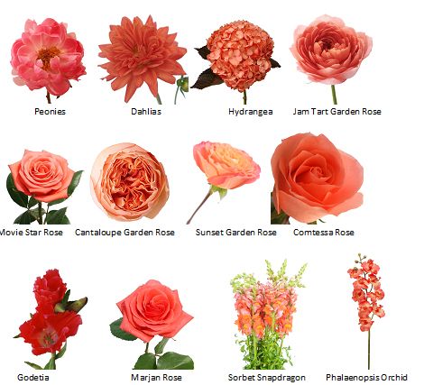 an image of flowers on the web page