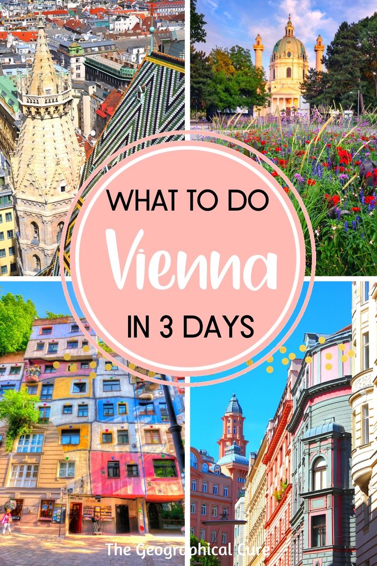 what to do in vienna in 3 days with the text overlay that reads, what to do vienna in 3 days