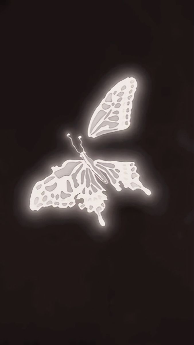 two white butterflies flying in the dark