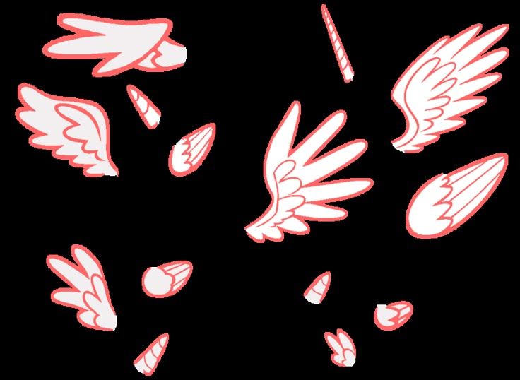 an image of different types of wings and their parts to make it look like they are flying