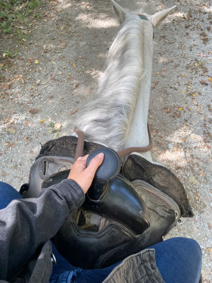 a person riding a horse on top of a dirt road