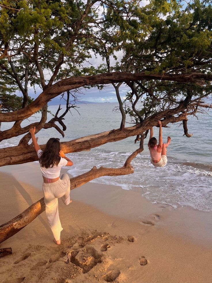 two people are hanging off the branches of trees at the beach while another person is swimming in the water