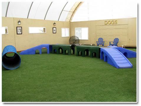 Indoor dog park - someday in my barn Dog Boarding Ideas, Dog Play Area, Indoor Dog Park, Indoor Park, Boarding Facility, Indoor Play Area, Doggie Daycare, Doggy Daycare, Dog Breeding