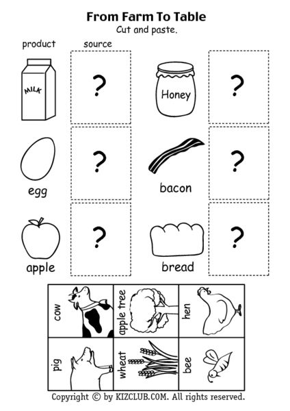 the farm to table worksheet is shown in black and white, which includes pictures of