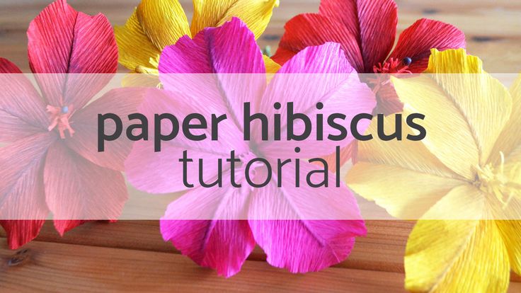 paper hibiscus flowers with text overlay