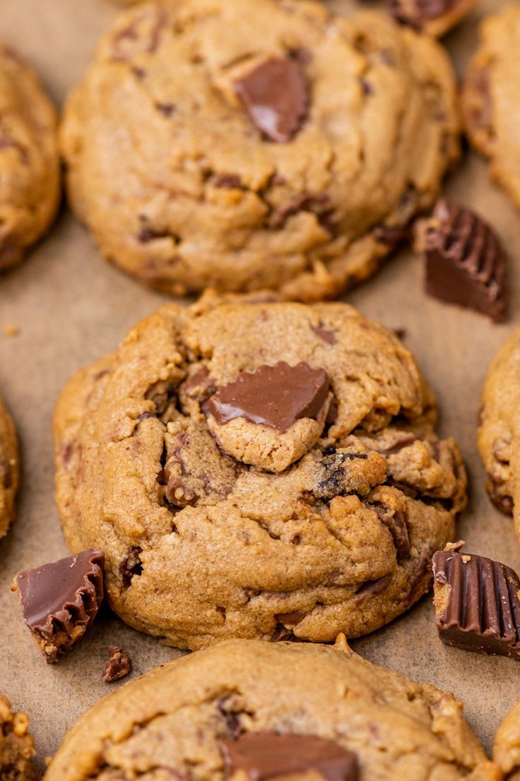 chocolate chip cookies are arranged on a baking sheet