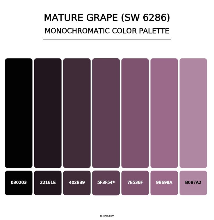 Mature Grape (SW 6286) - Monochromatic Color Palette Monochromatic Composition, Monochromatic Colour Scheme, Ysl Store, Purple Monochrome, Monochromatic Color Palette, Grape Color, Purple Color Palettes, Aesthetic Color, Monochromatic Color Scheme