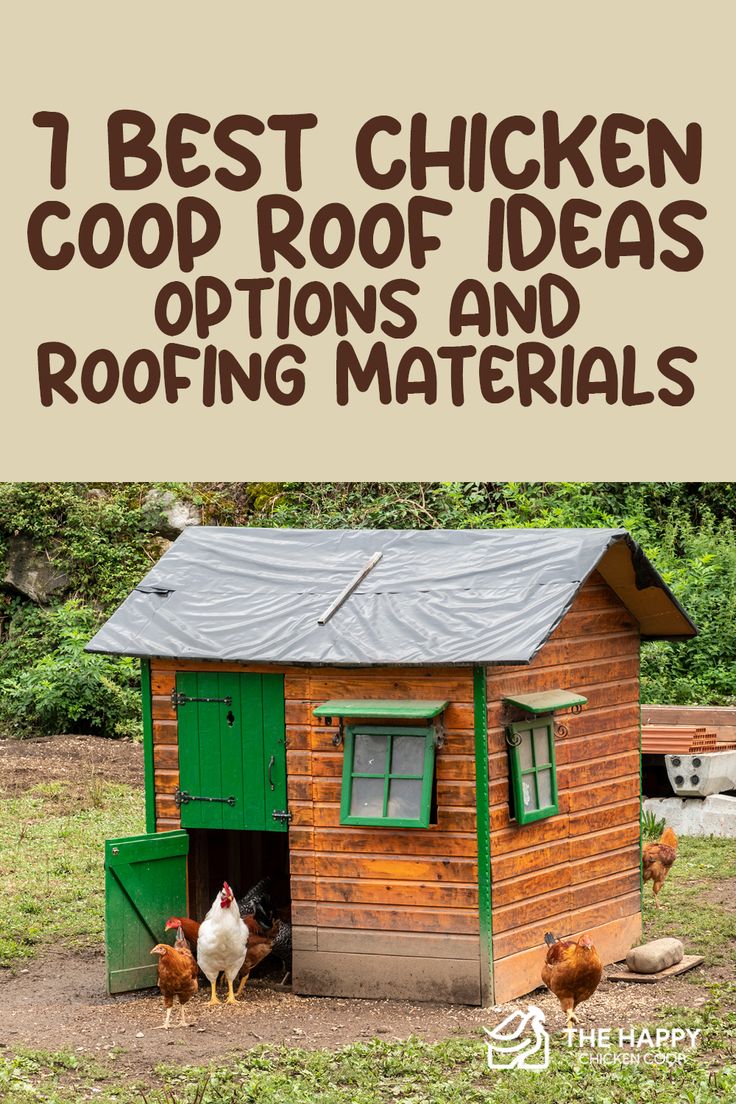 chickens and roosters in their coop with the text, best chicken coop roof ideas and roofing materials