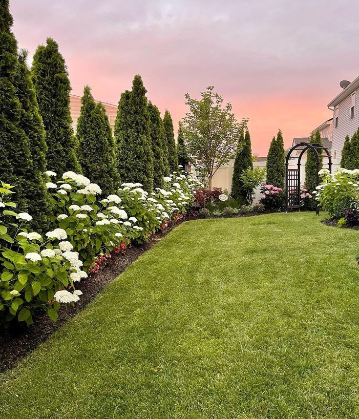 a lush green yard with white flowers and trees