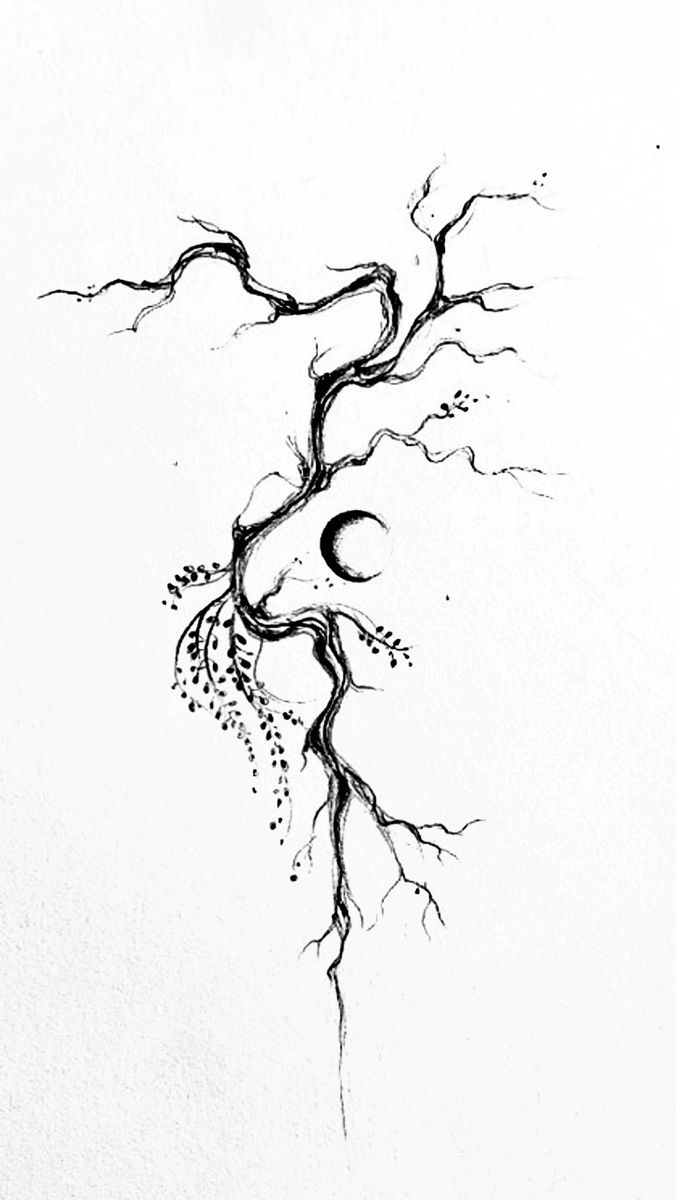 an ink drawing of a tree with two branches