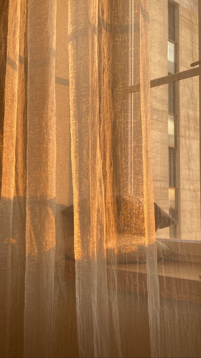 an open window with sheer curtains in front of it and a bird sitting on the window sill