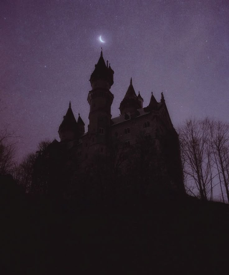 an old castle is silhouetted against the night sky