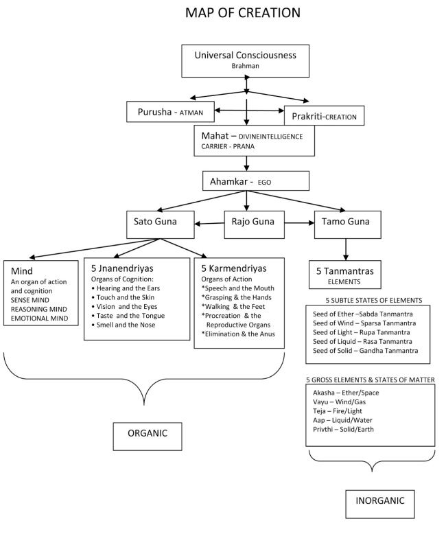 a flow diagram showing the steps to constition in neurological treatment