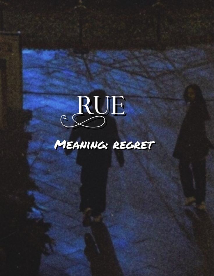 two people walking in the snow at night with text that reads rue meaning secret secrets